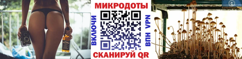 Галлюциногенные грибы Cubensis  Благовещенск 